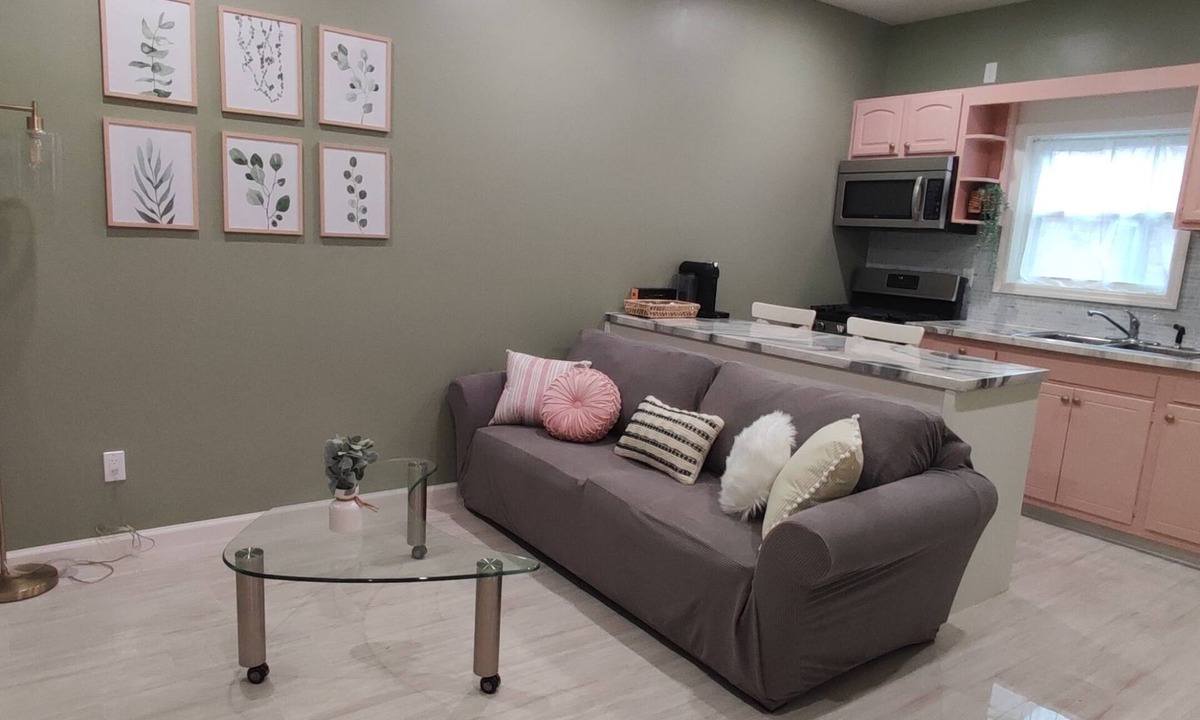 Delaware Apartment | Brand New Cozy Downtown Delaware Apartment