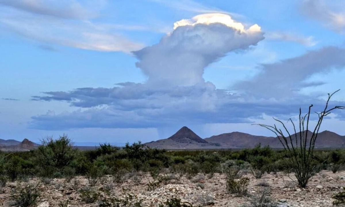 Alpine Cabin | Cozy Comfy Cabin 1-bedroom, with AC on Terlingua Ranch, 360 views, Star Gazing