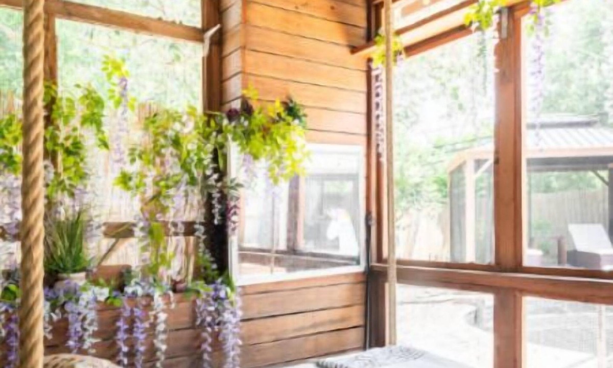 Westbury House | Empress Bamboo Lagoon