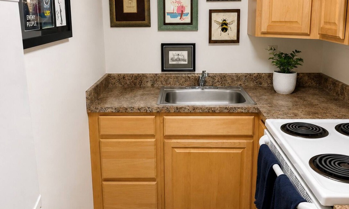 Georgetown Apartment | Georgetown Studio Furnished English Basement