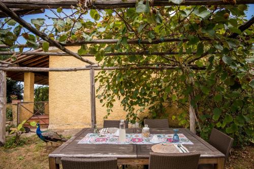 Montieri Apartment | Glicine