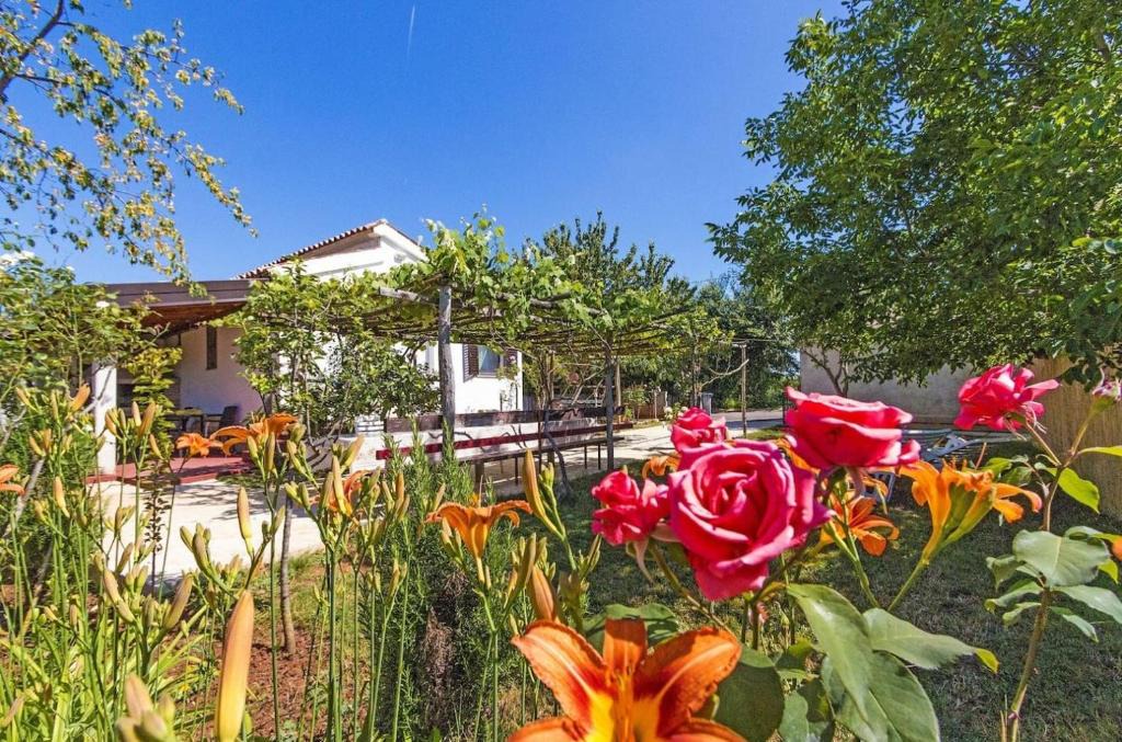 Loborika Apartment | Kućica u prirodi
