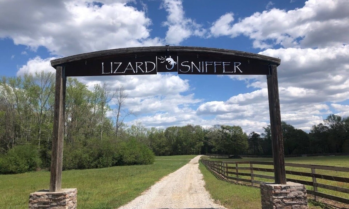 White Plains House | Lake House on private stocked lake with miles of trails and Horses!