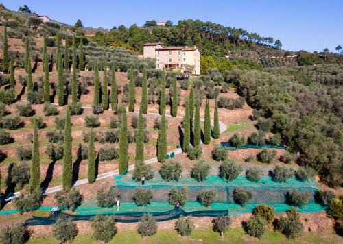 Cascine-La Croce Villa | Luxury 6-bed Tuscan Villa near Lucca and Florence