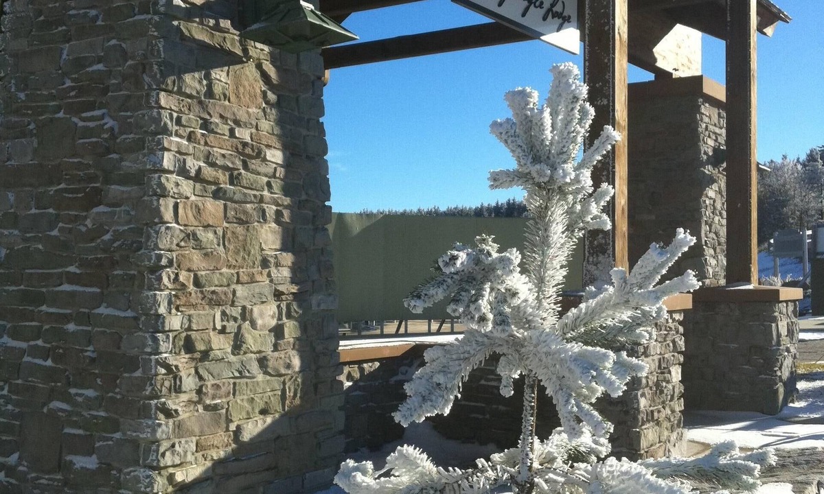 Edray Condo | Luxury Snowshoe Penthouse - Best Ski-In~Out 1BR with Stunning Sunrise Mtn 🌅⛰️View