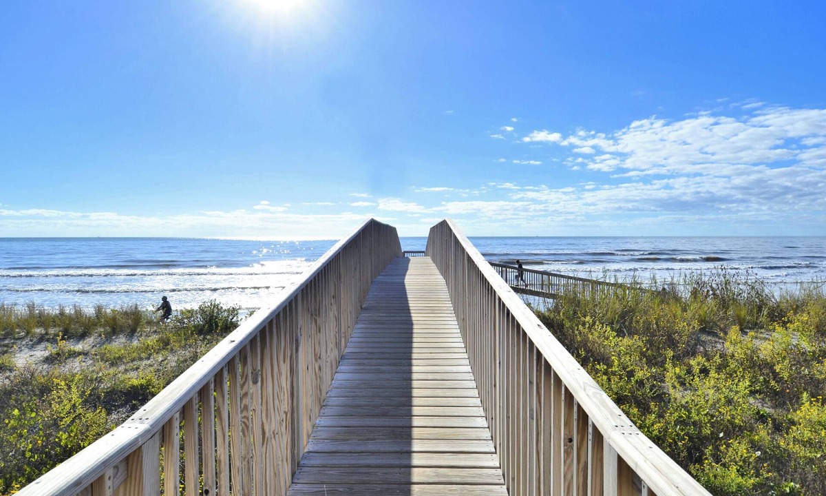 Galveston Condo | Parrot Paradise by Ryson Vacation Rentals