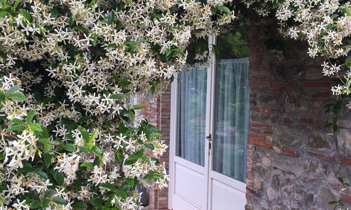 Capannori Bed & Breakfast | Relais del Lago