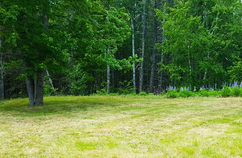 Salsbury Cove House | Bar Harbor Serenity close to Hadley Point Beach