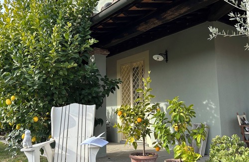 Montopoli in Val d'Arno House | BEAUTIFUL HOUSE BETWEEN PISA AND FLORENCE WITH PRIVATE POOL