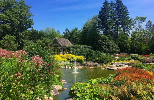 Ocean Point Hotel | Bluebird Ocean Point Inn| Oceanfront Double Queen | Free Coffee and Tea