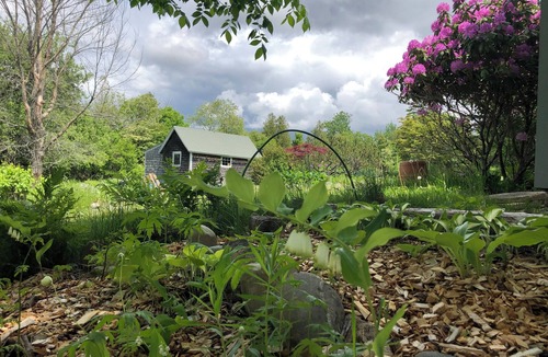 Castine Cottage | Charming 3-BR cottage in rural Historic District - authentic Maine experience!