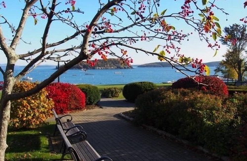 Bar Harbor House | Introducing: "Beach Point Cottage" in the Heart of Bar Harbor! Walk Everywhere!