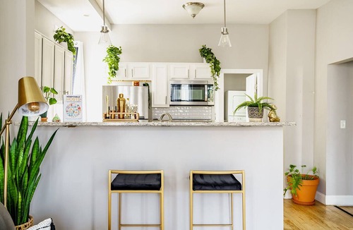 Victorian Village Apartment | Jungle House Boutique Lofts – Downtown Columbus & Short North
