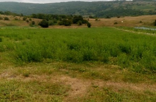 Brlog House | Kuća za odmor