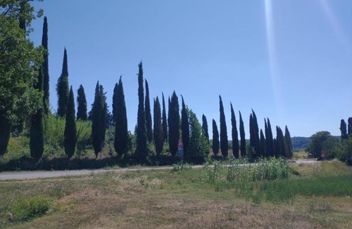 Capannoli Apartment | La Libellula