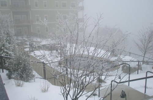 Edray Condo | Luxury Snowshoe Penthouse - Best Ski-In~Out 1BR with Stunning Sunrise Mtn 🌅⛰️View