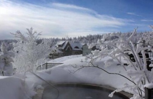 Edray Condo | Luxury Snowshoe Penthouse - Best Ski-In~Out 1BR with Stunning Sunrise Mtn 🌅⛰️View