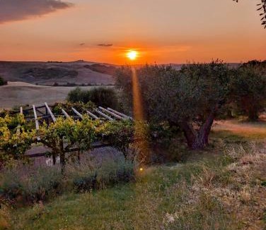 Pienza House | Podere Spedalone