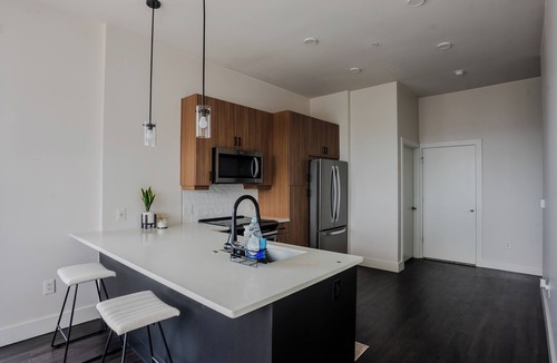 Home Park Apartment | Private Room In High-Rise Penthouse, Midtown Atl