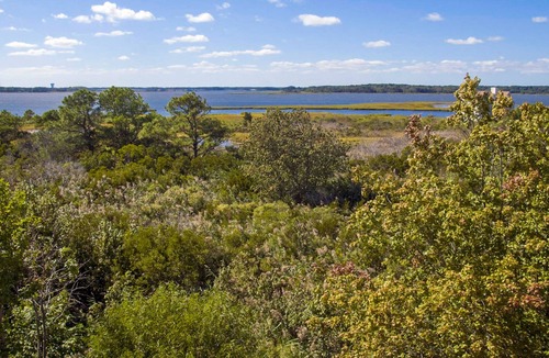 Fenwick Island House | Salt Meadows Townhouse w/ Shared Pool & Free WiFi - Walk to the Beach!