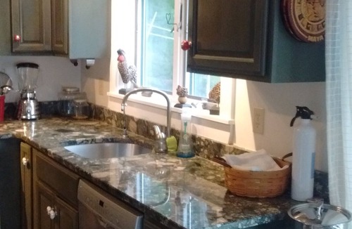 Hope House | Serendipity Cottage on Lermond Pond