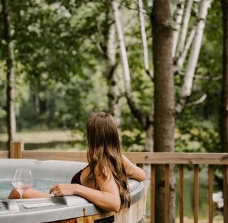 Belgrade House | SkyView treehouse