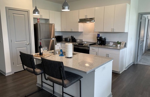 Tuttle West Apartment | The Queen of Dublin | Luxury 2BR Near Bridge Park | Pool + Gym