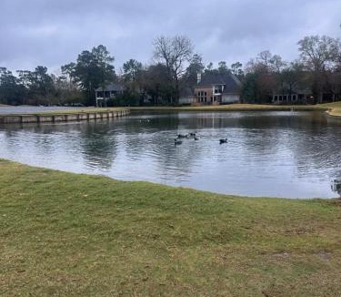 Grogan's Mill House | The Woodlands