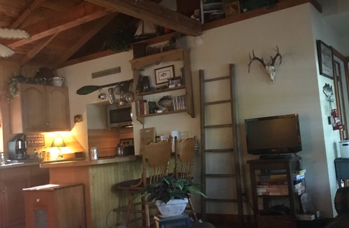 Hawkins Cabin | Vintage Cottage on Lake! Fish Camp Cabin, FREE kayak, canoe & bike use!