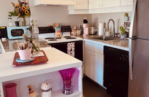 Downtown Houston Apartment | WorldCup Central- Easy access for sports and entertainment.