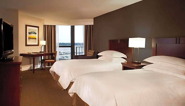 4 Cozy Rooms to Enjoy tranquil lake views and refreshing breezes