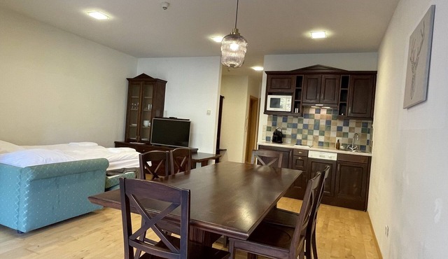 "Apartment with Terrace (ZW 9) at the International House Soelden"