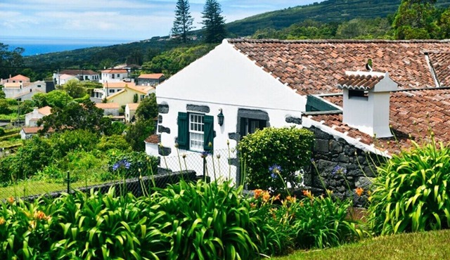 Auntie's House