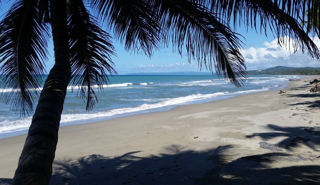 Authentic Beachfront Caribbean Hideaway-Crashing Surf, Palms, & Tradewinds!