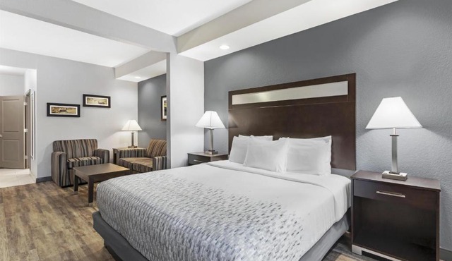 Best Western Plus Lake Jackson Inn & Suites