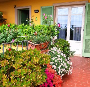 Casa Marta