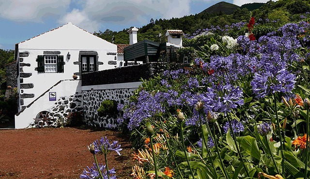 Casas do Capelo - Typically Azorean