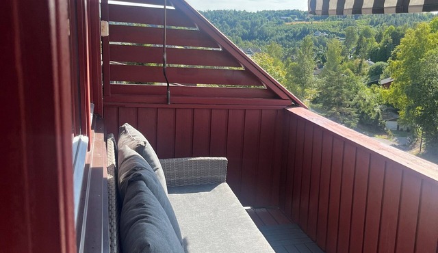 Charming 1-bedroom apartment in brilliant Akershus with all innclude