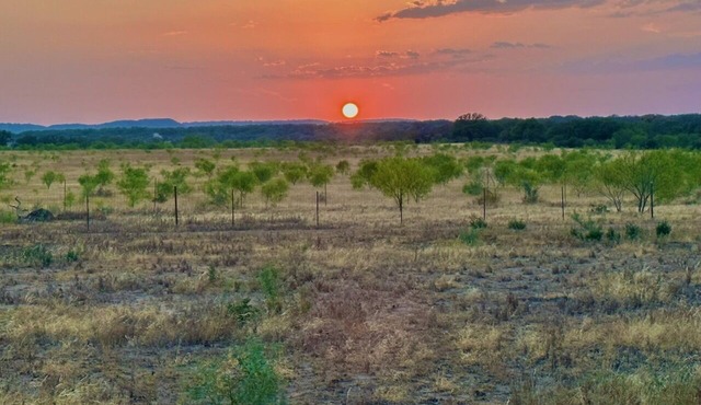 Country Getaway.Sounds of nature and stargazers dream Rejuvenate your mind &body