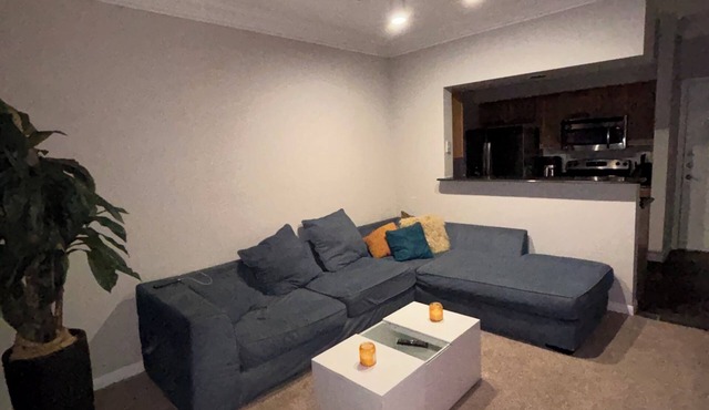 Cozy 1-bedroom apartment in Galleria Houston with pool and gym access