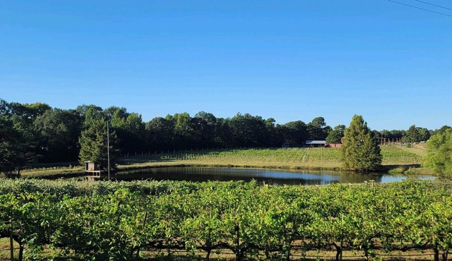 Cozy vineyard studio with peaceful pond views.