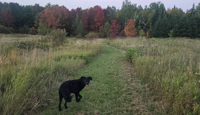 Family/pet-friendly home on working farm. Country setting, yet close to town!