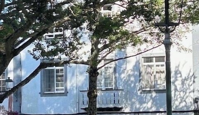 GARDEN VIEW APARTMENT