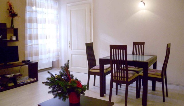 Holiday apartment in the city center Rijeka
