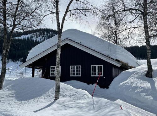 Kultan
