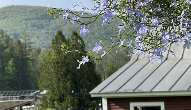 Lareau Farm Inn