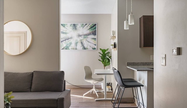 Modern Downtown Luxury Apartment