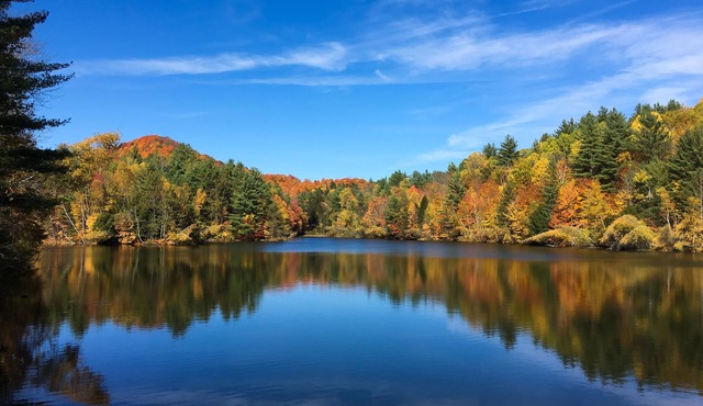 Mountain Meadows Lodge