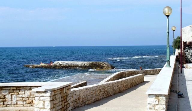 One bedroom apartment with balcony Novigrad (A-14408-a)