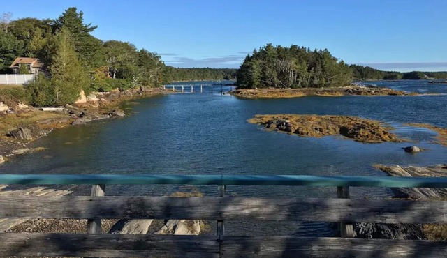 Osprey's Nest. Waterfront unit with boat and kayak access. Pet Friendly!